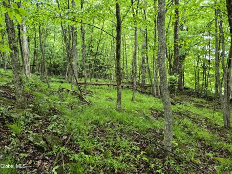 L1.2 Goodman Road Fort Ann NY 12827