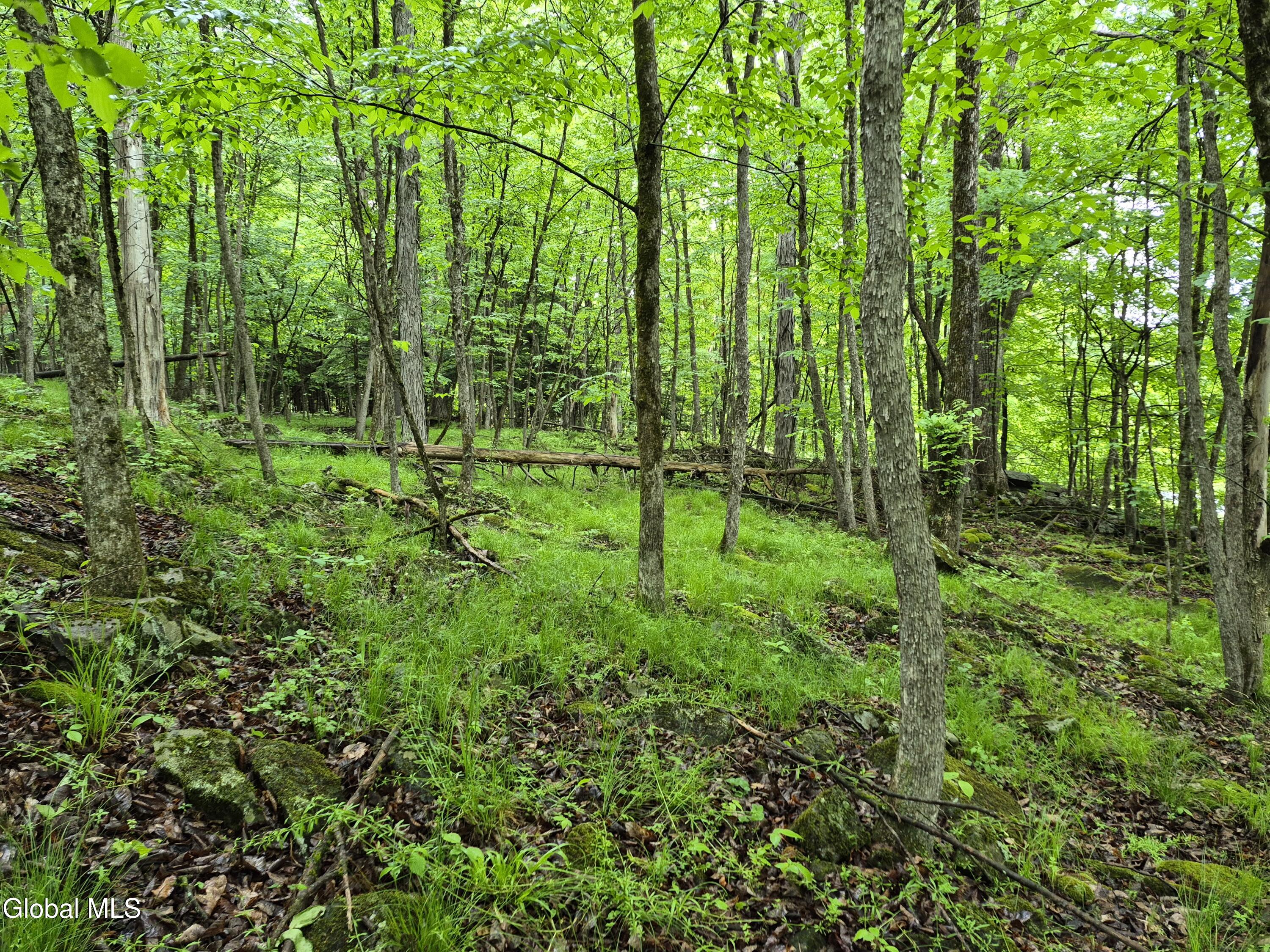 L1.2 Goodman Road Fort Ann NY 12827