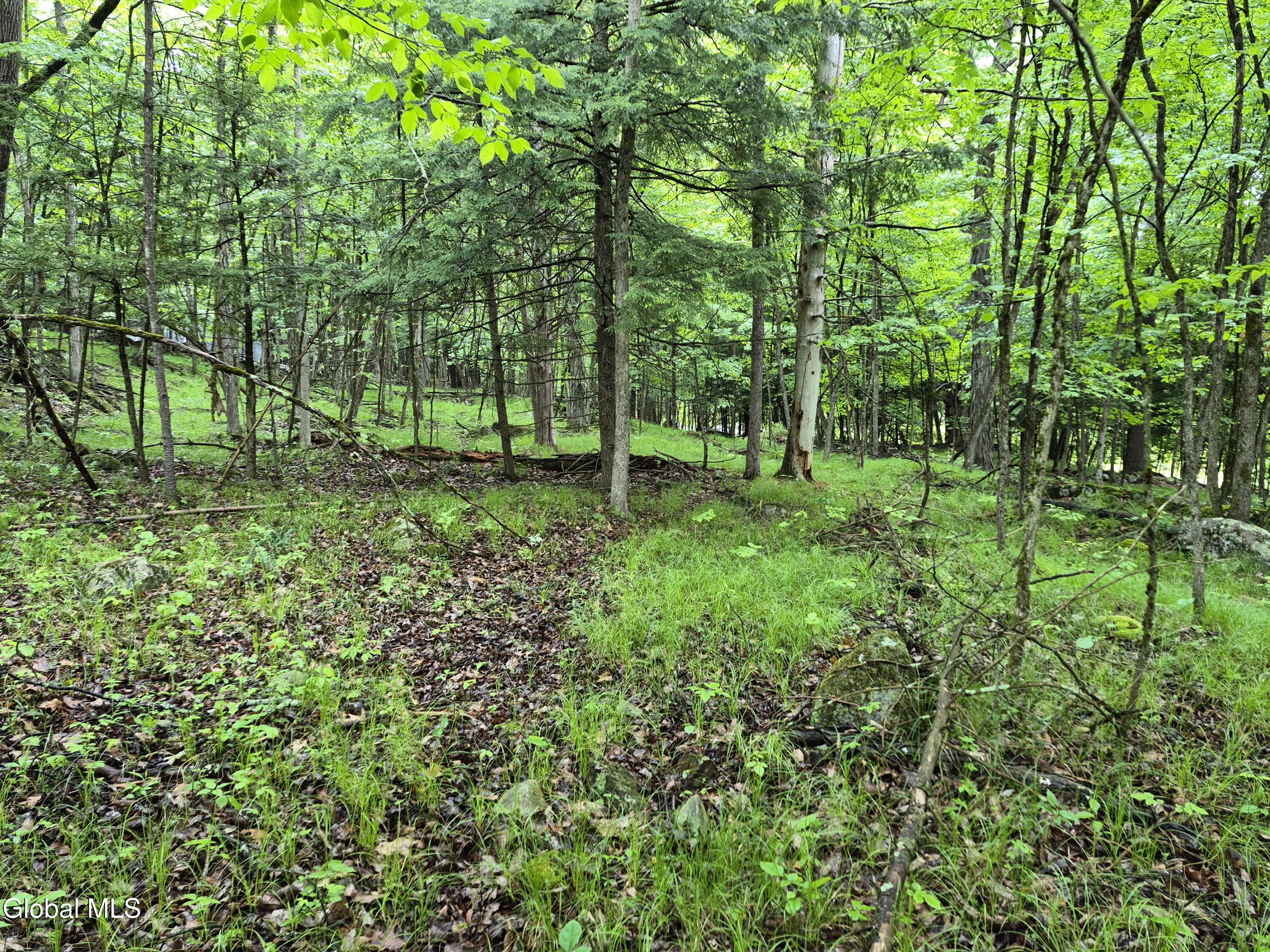 L1.2 Goodman Road Fort Ann NY 12827