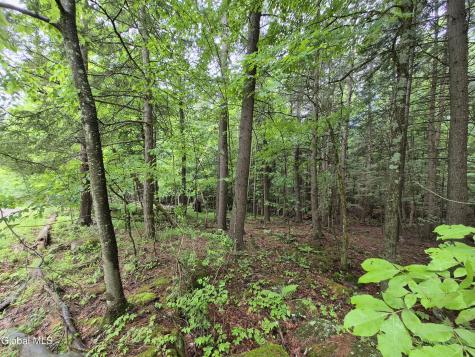 L1.2 Goodman Road Fort Ann NY 12827