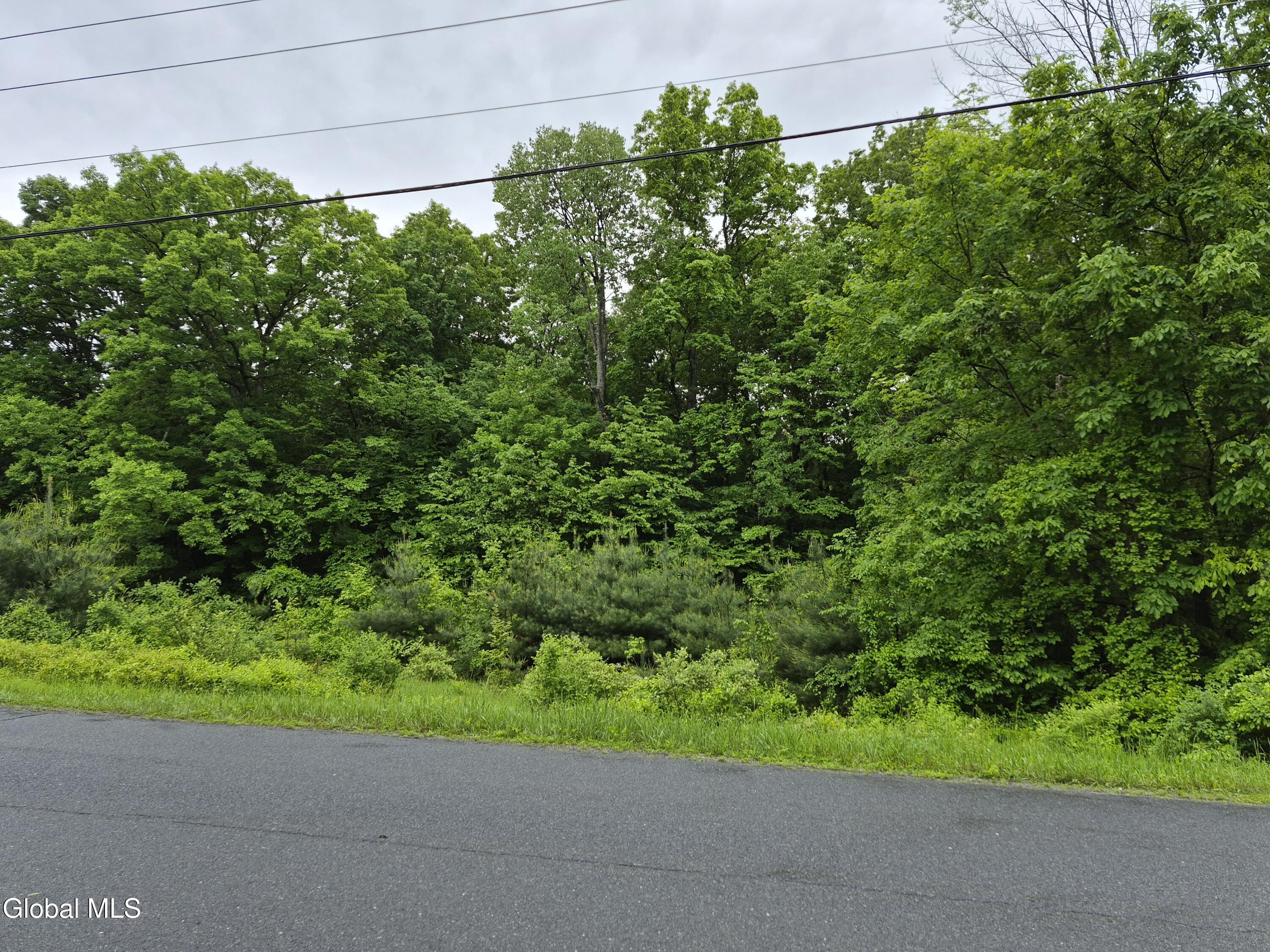 L1.2 Goodman Road Fort Ann NY 12827