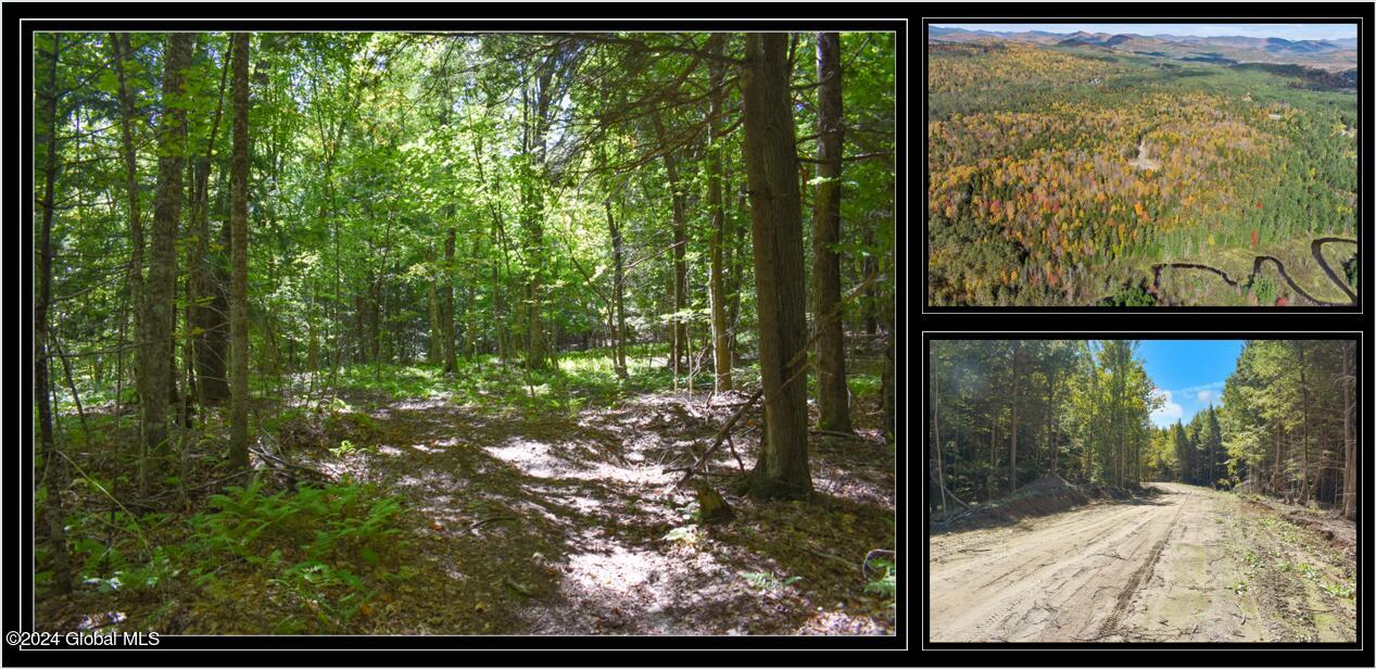 98 Carriage Knoll Road Chestertown NY 12817