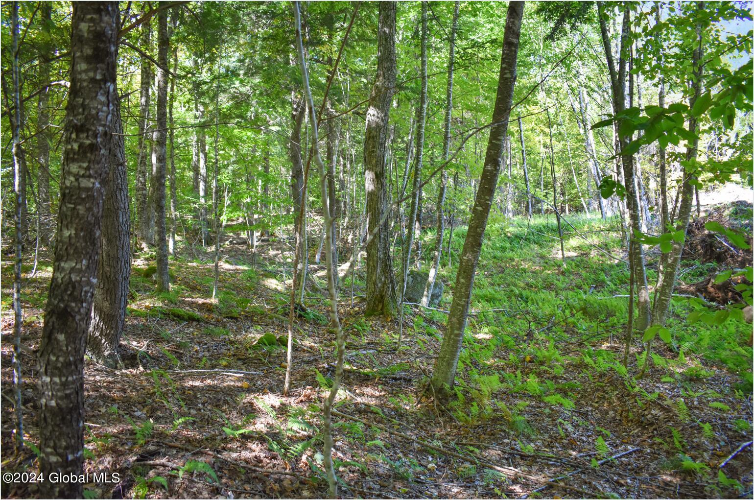 98 Carriage Knoll Road Chestertown NY 12817