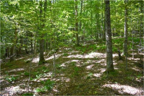98 Carriage Knoll Road Chestertown NY 12817
