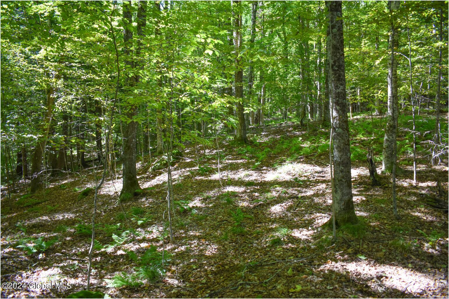 98 Carriage Knoll Road Chestertown NY 12817
