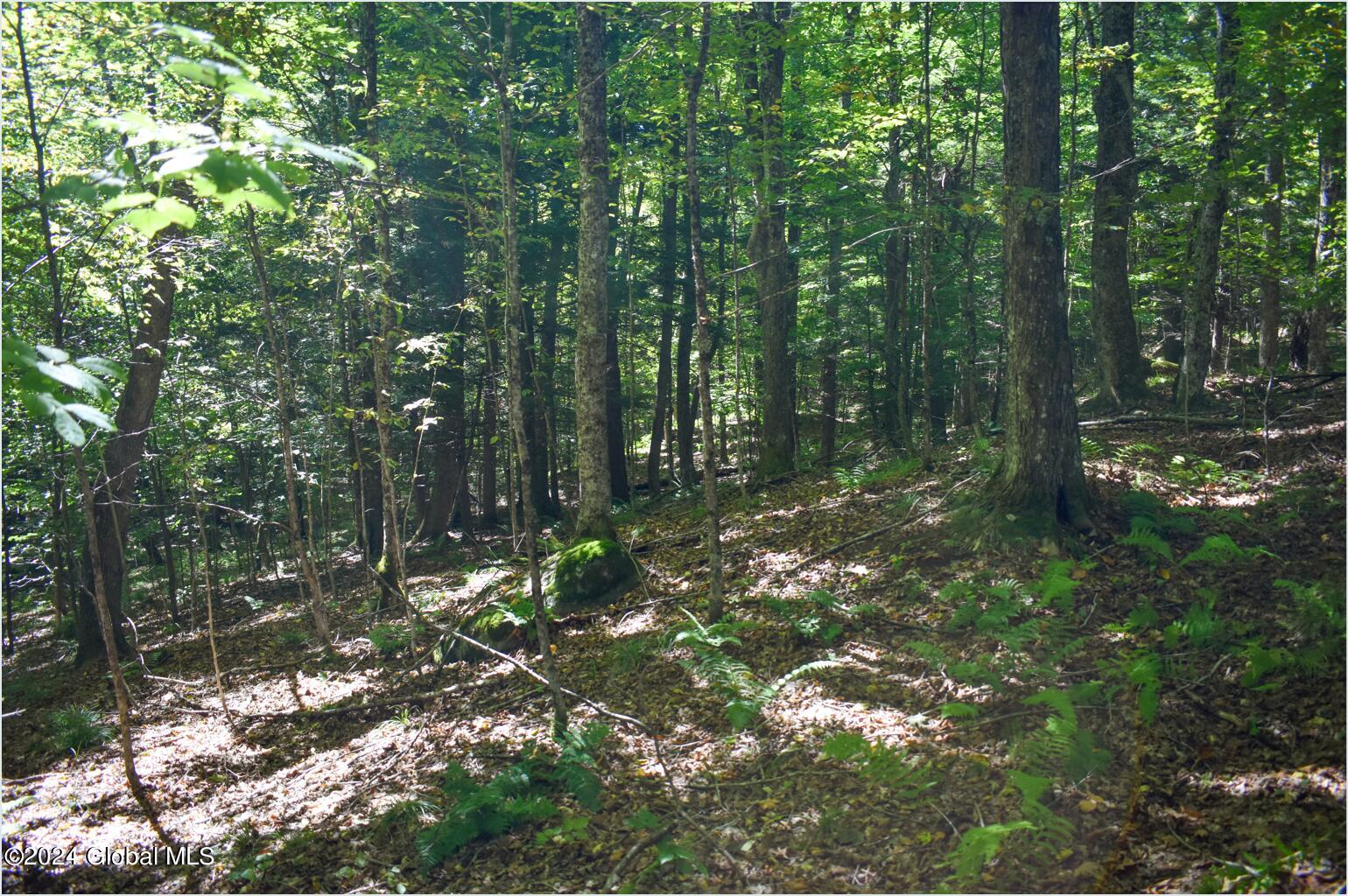 98 Carriage Knoll Road Chestertown NY 12817