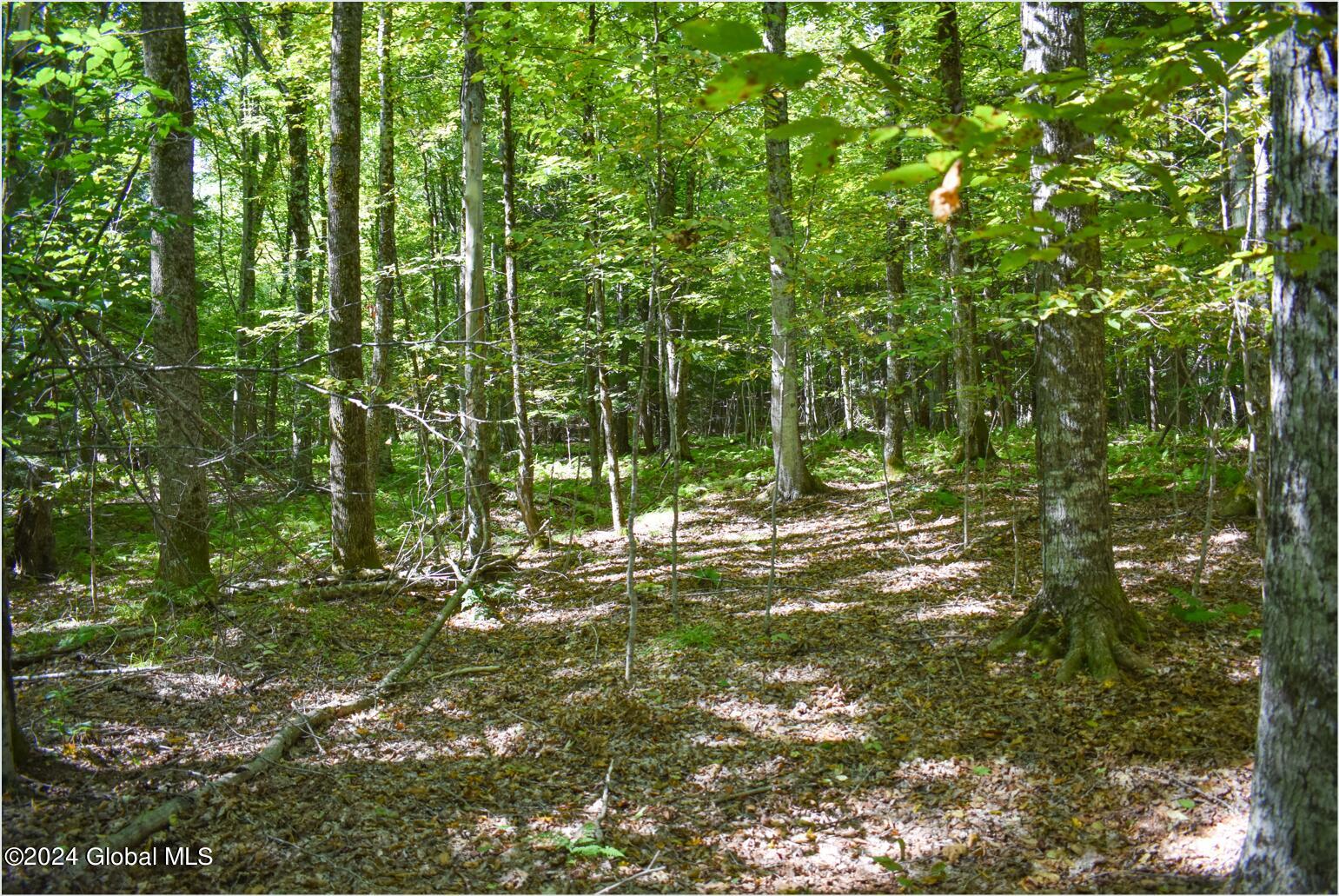 98 Carriage Knoll Road Chestertown NY 12817
