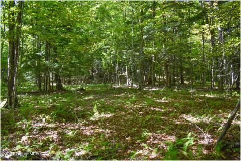 98 Carriage Knoll Road Chestertown NY 12817