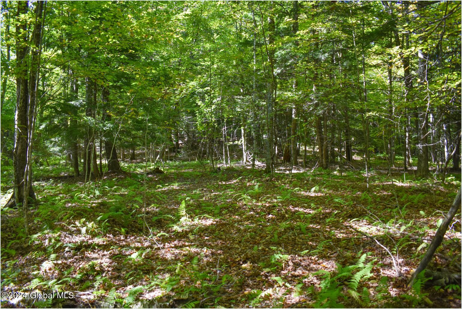 98 Carriage Knoll Road Chestertown NY 12817