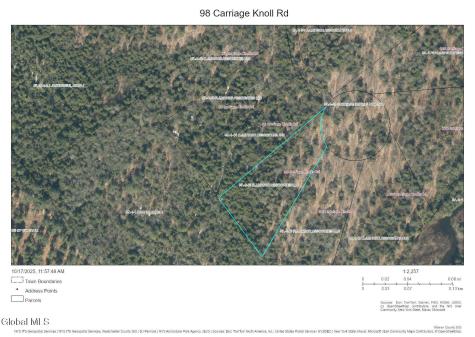 98 Carriage Knoll Road Chestertown NY 12817