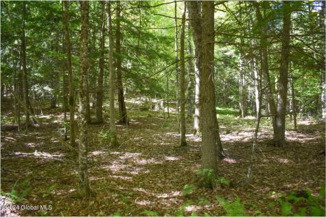 98 Carriage Knoll Road Chestertown NY 12817