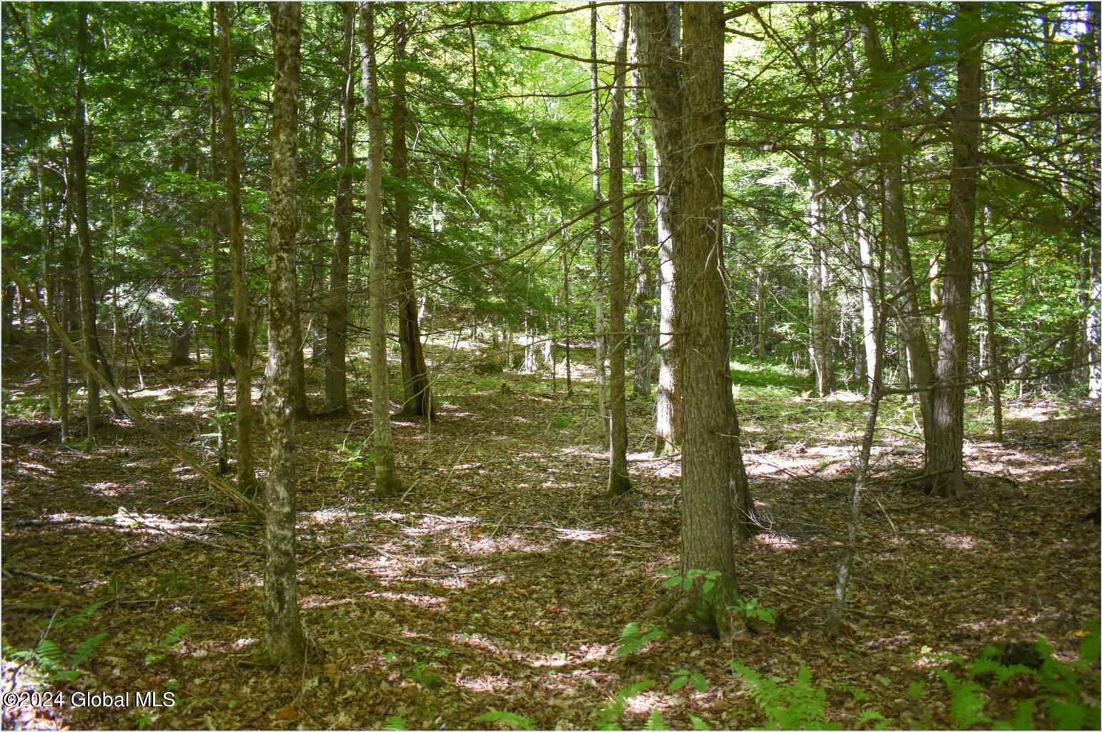 98 Carriage Knoll Road Chestertown NY 12817