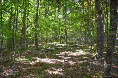 98 Carriage Knoll Road Chestertown NY 12817
