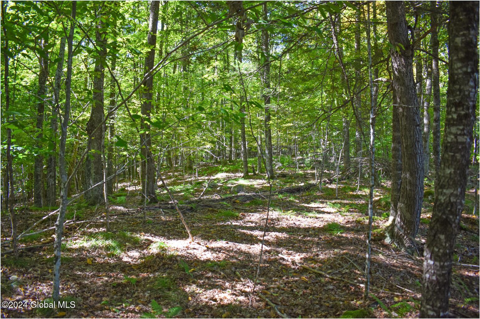 98 Carriage Knoll Road Chestertown NY 12817
