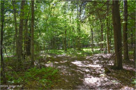 98 Carriage Knoll Road Chestertown NY 12817