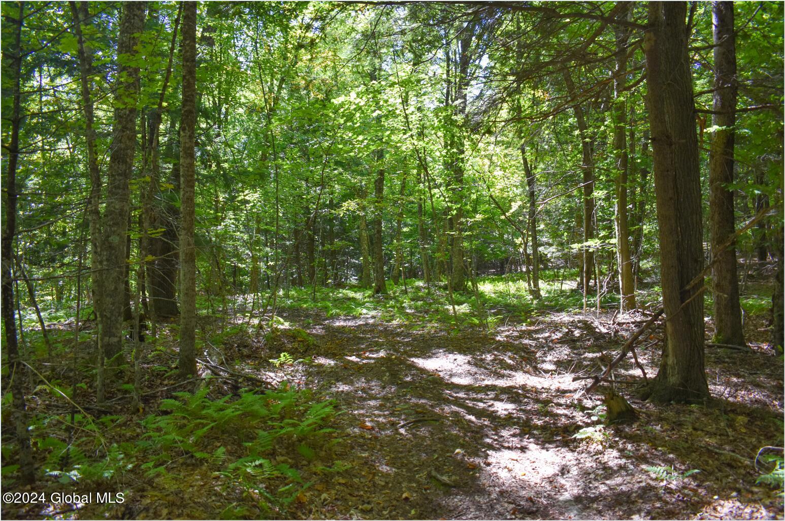 98 Carriage Knoll Road Chestertown NY 12817