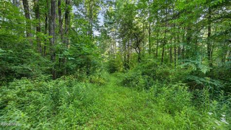 L1 Grange Hall Road Franklin NY 13775