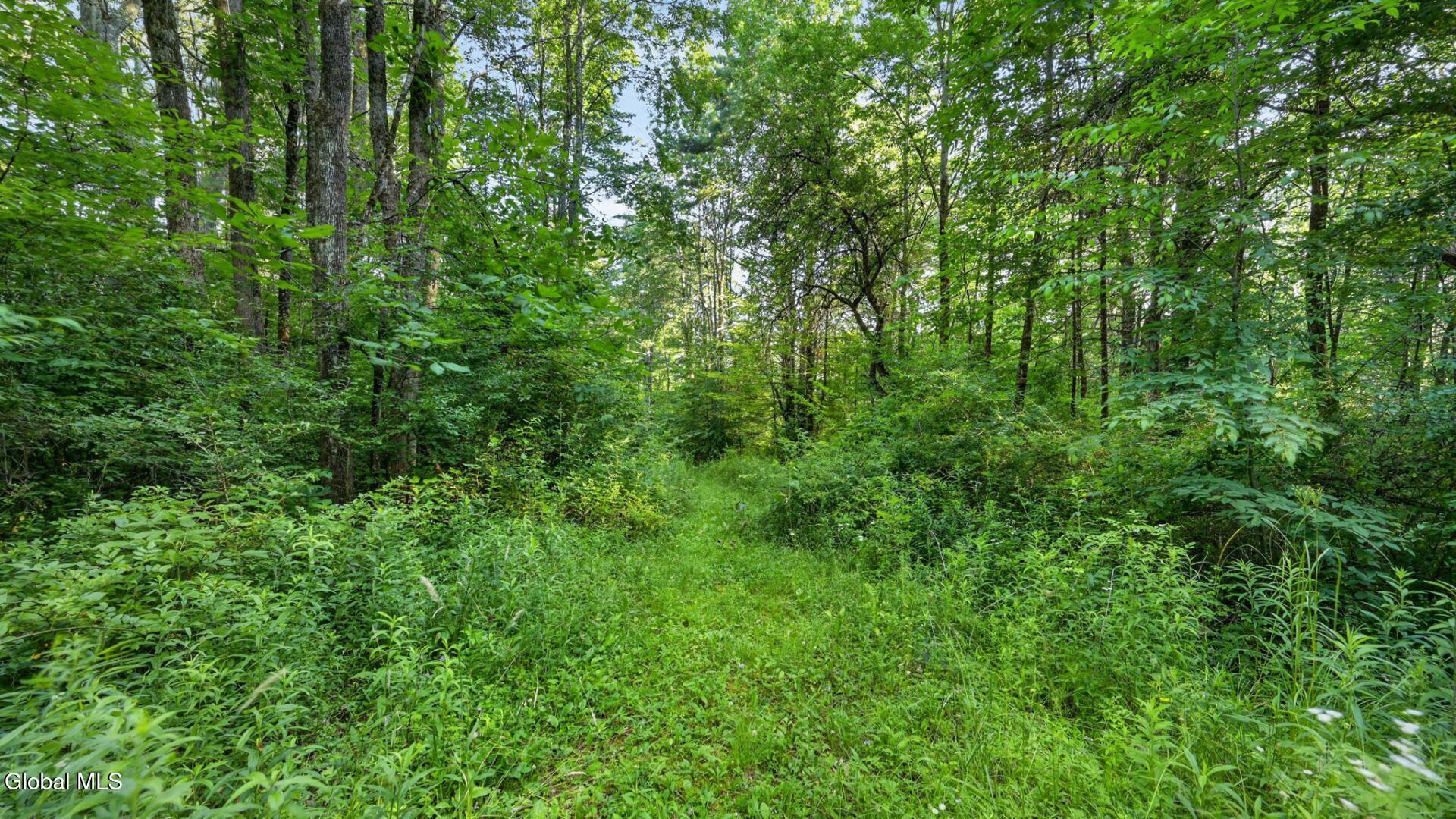 L1 Grange Hall Road Franklin NY 13775