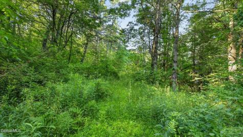 L1 Grange Hall Road Franklin NY 13775