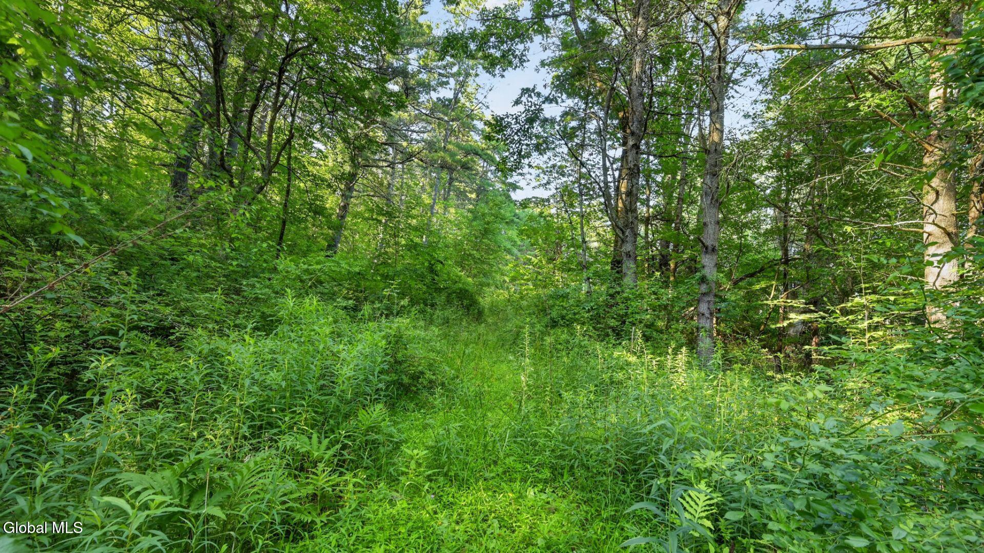 L1 Grange Hall Road Franklin NY 13775