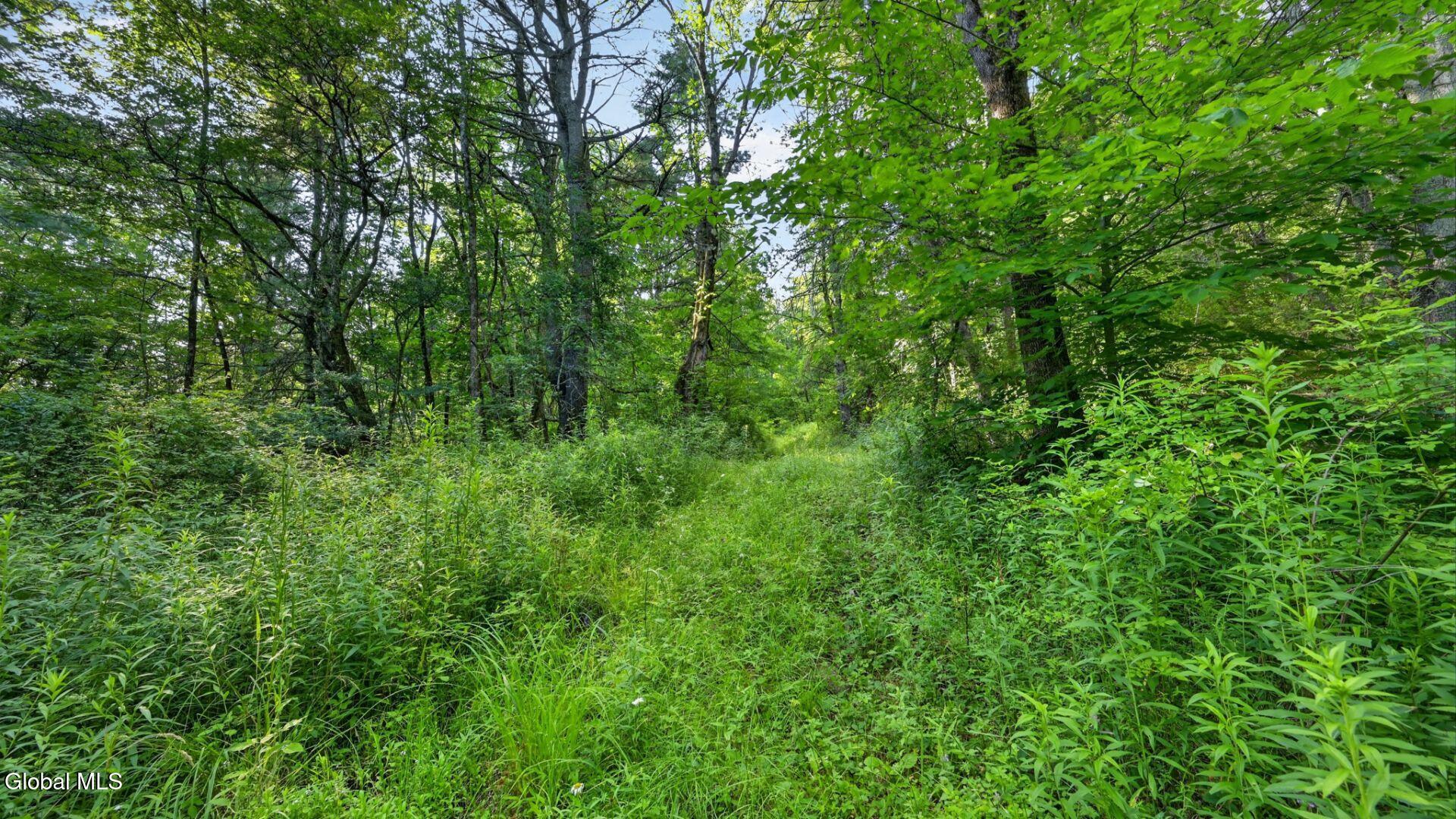 L1 Grange Hall Road Franklin NY 13775