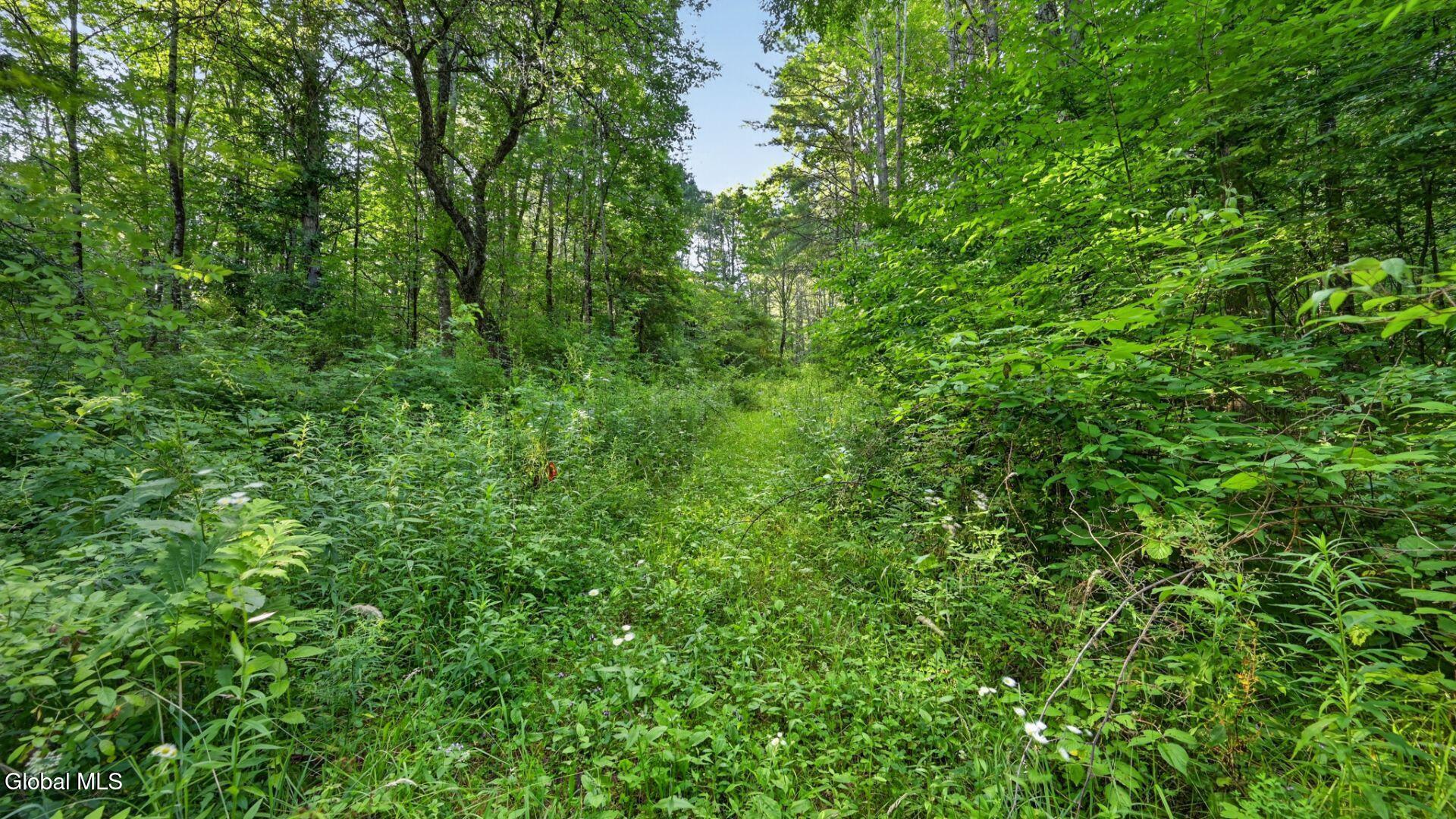 L1 Grange Hall Road Franklin NY 13775