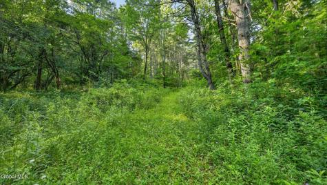 L1 Grange Hall Road Franklin NY 13775