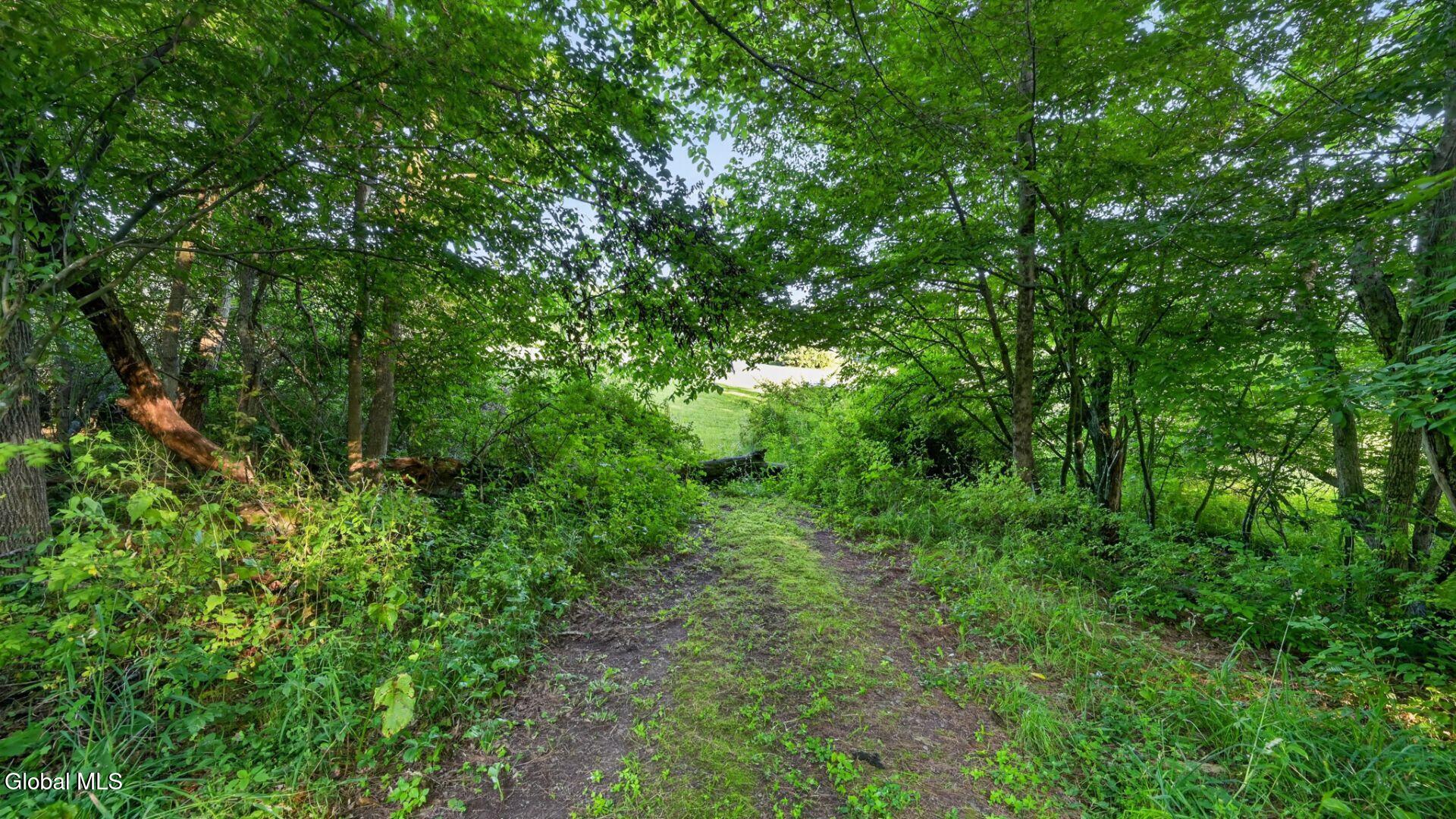 L1 Grange Hall Road Franklin NY 13775