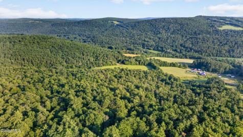 L1 Grange Hall Road Franklin NY 13775