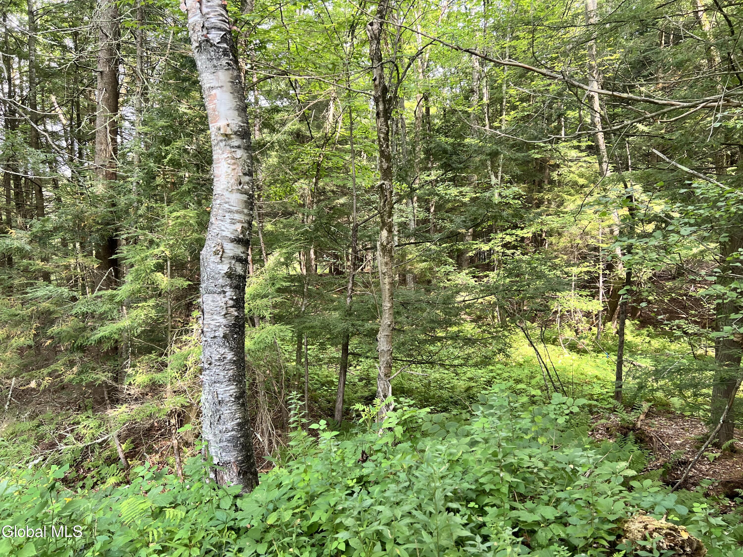 03 Faber Road Galway NY 12025