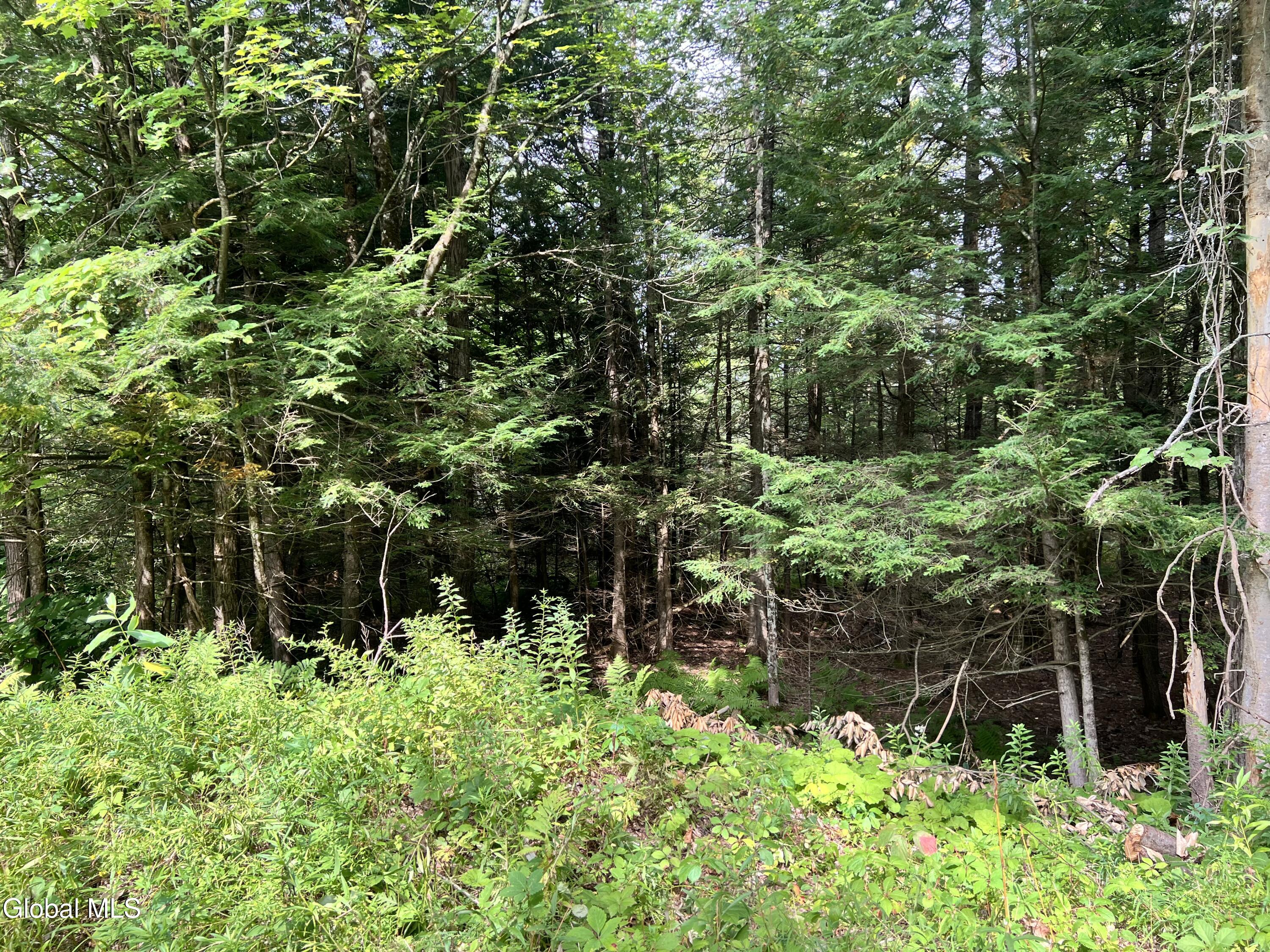 03 Faber Road Galway NY 12025