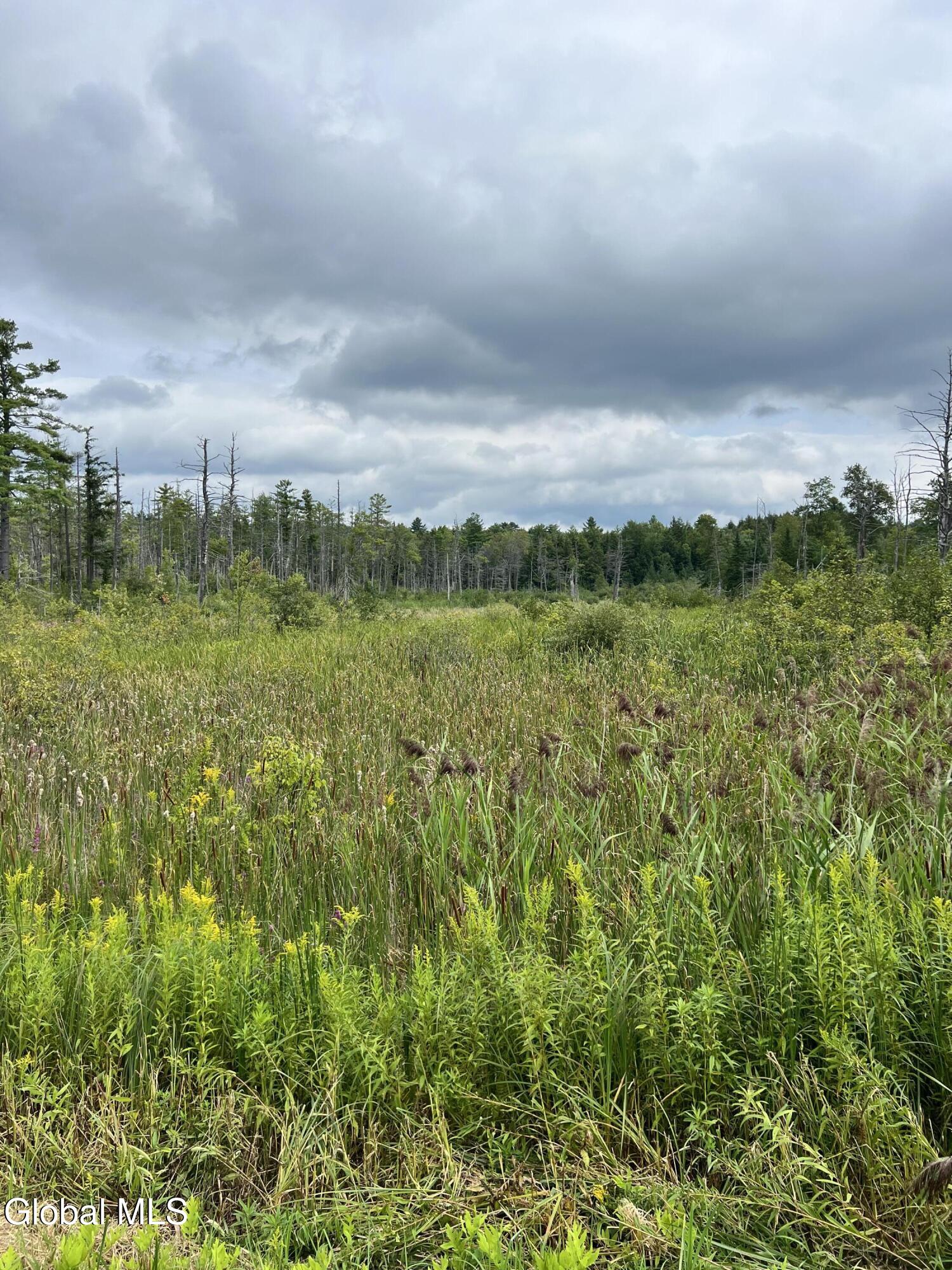 03 Faber Road Galway NY 12025