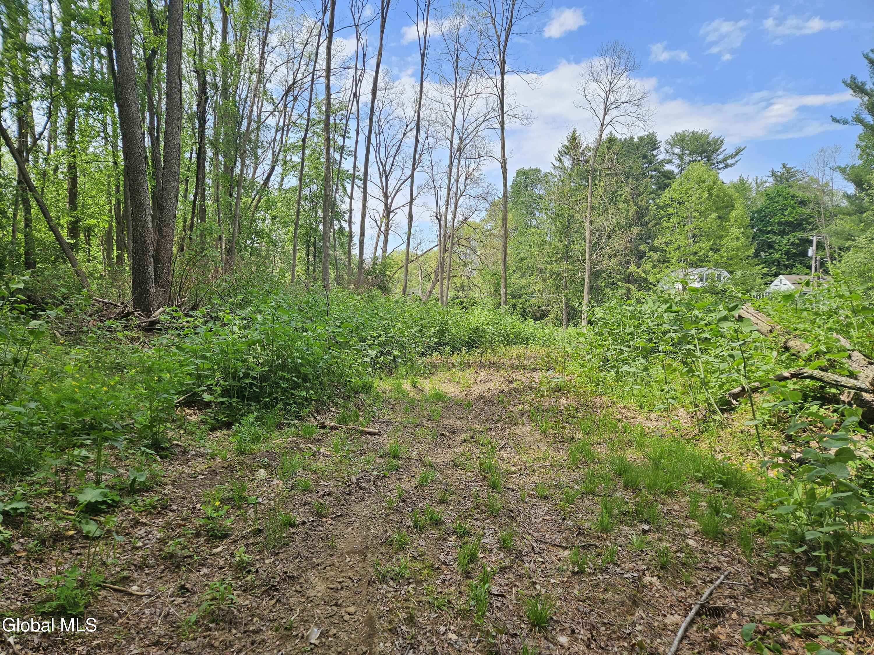 85 Willow Street Guilderland NY 12084