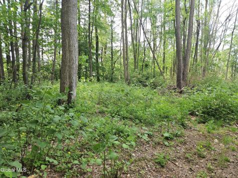 85 Willow Street Guilderland NY 12084