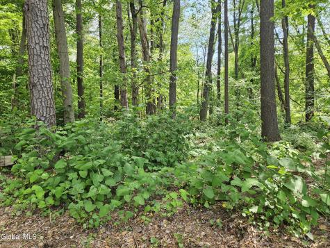85 Willow Street Guilderland NY 12084