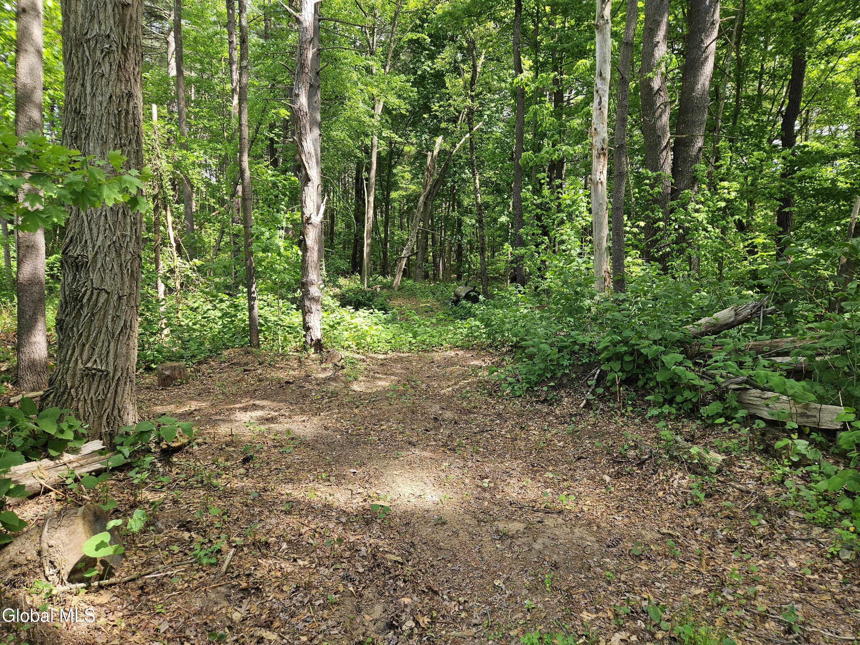 85 Willow Street Guilderland NY 12084