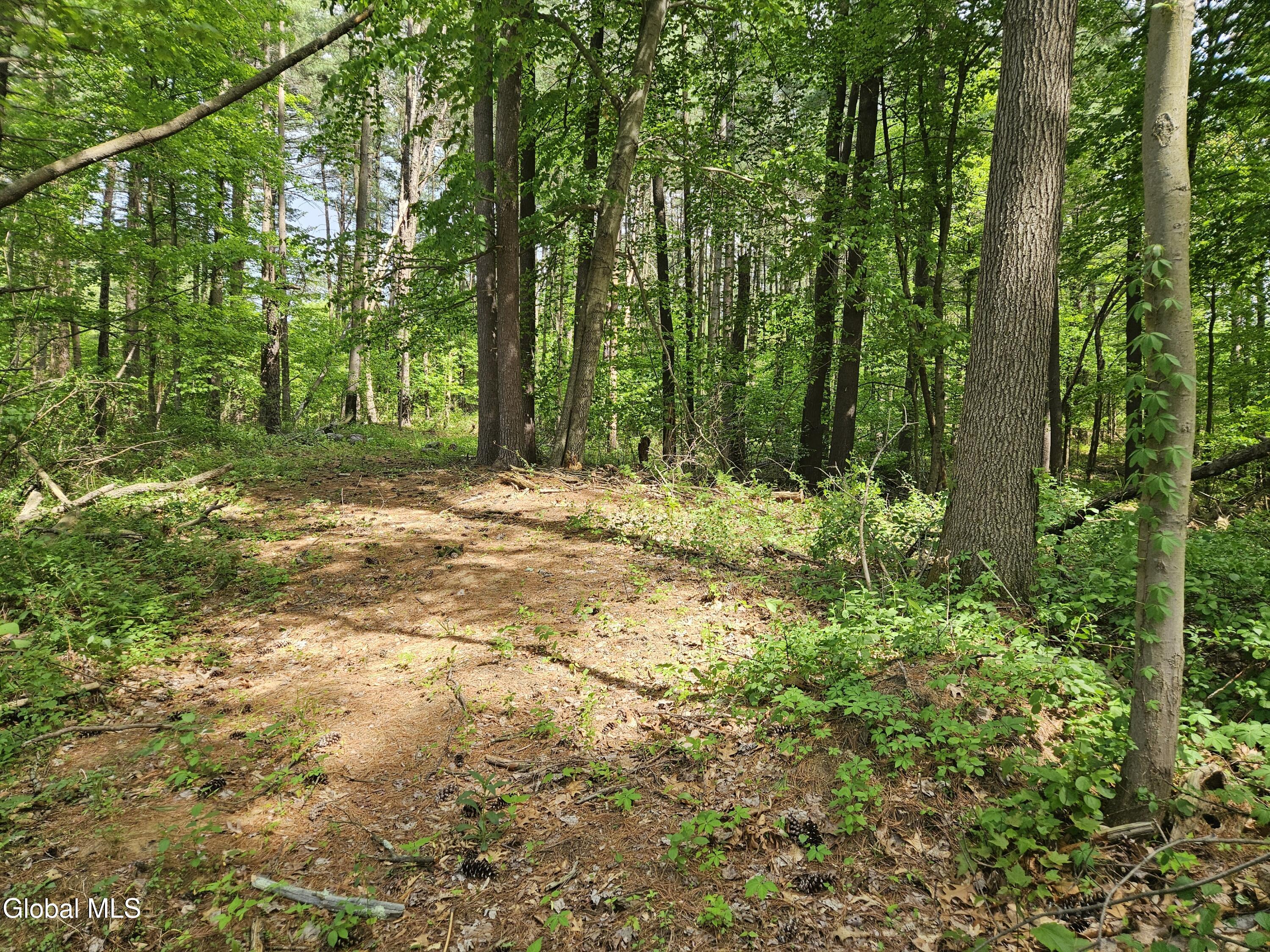 85 Willow Street Guilderland NY 12084
