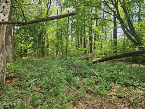 85 Willow Street Guilderland NY 12084