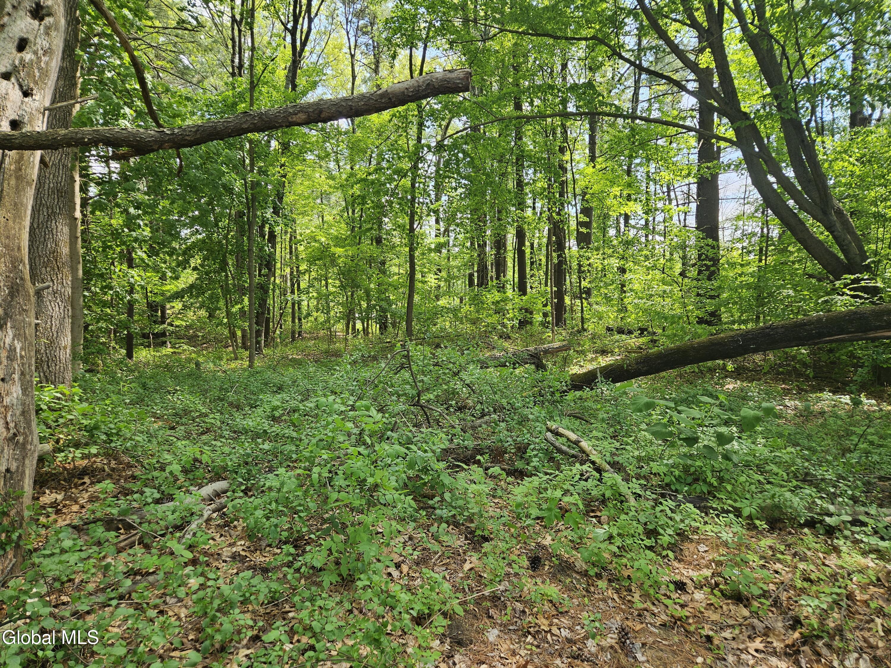 85 Willow Street Guilderland NY 12084