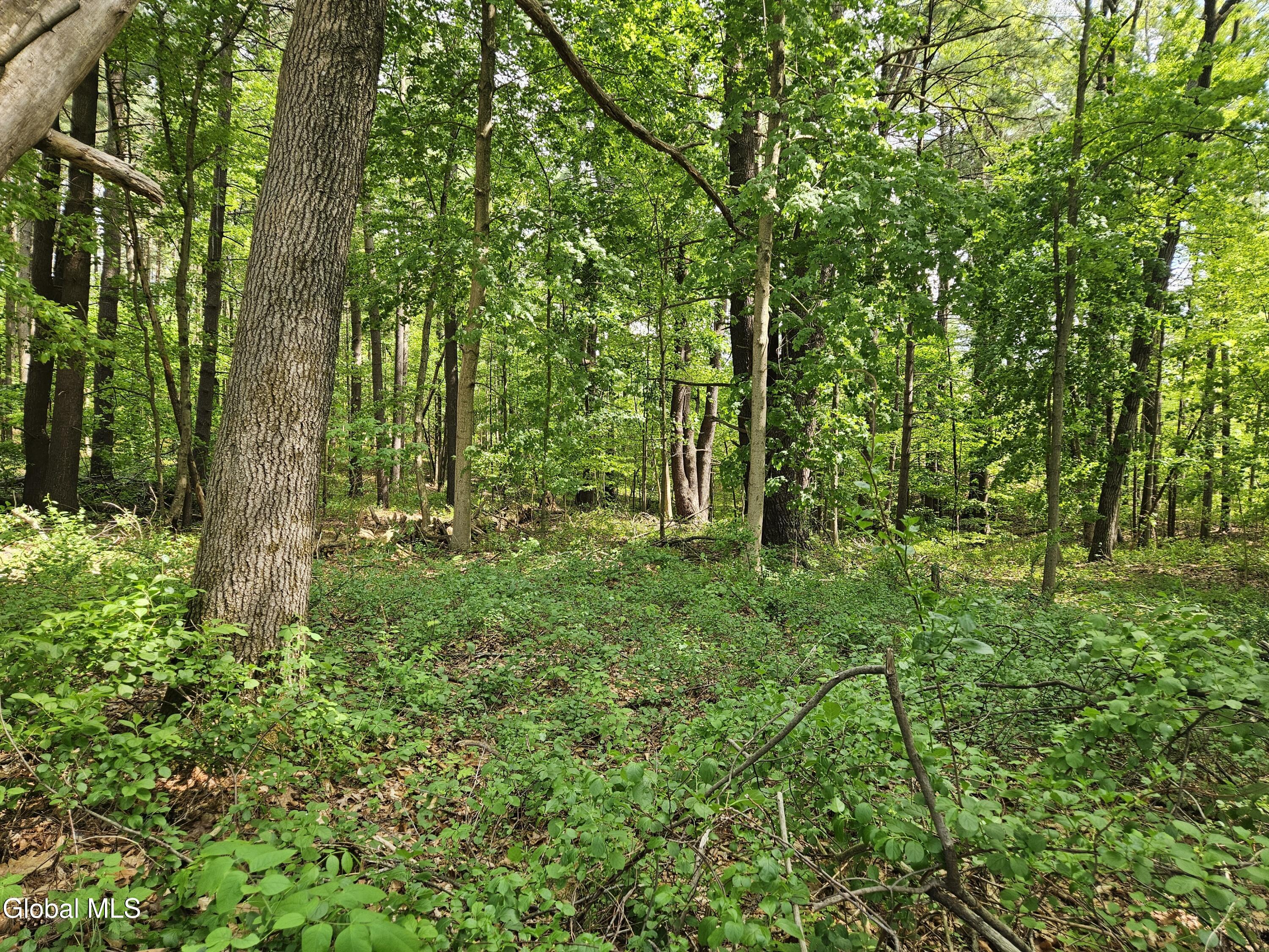 85 Willow Street Guilderland NY 12084