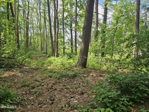 85 Willow Street Guilderland NY 12084