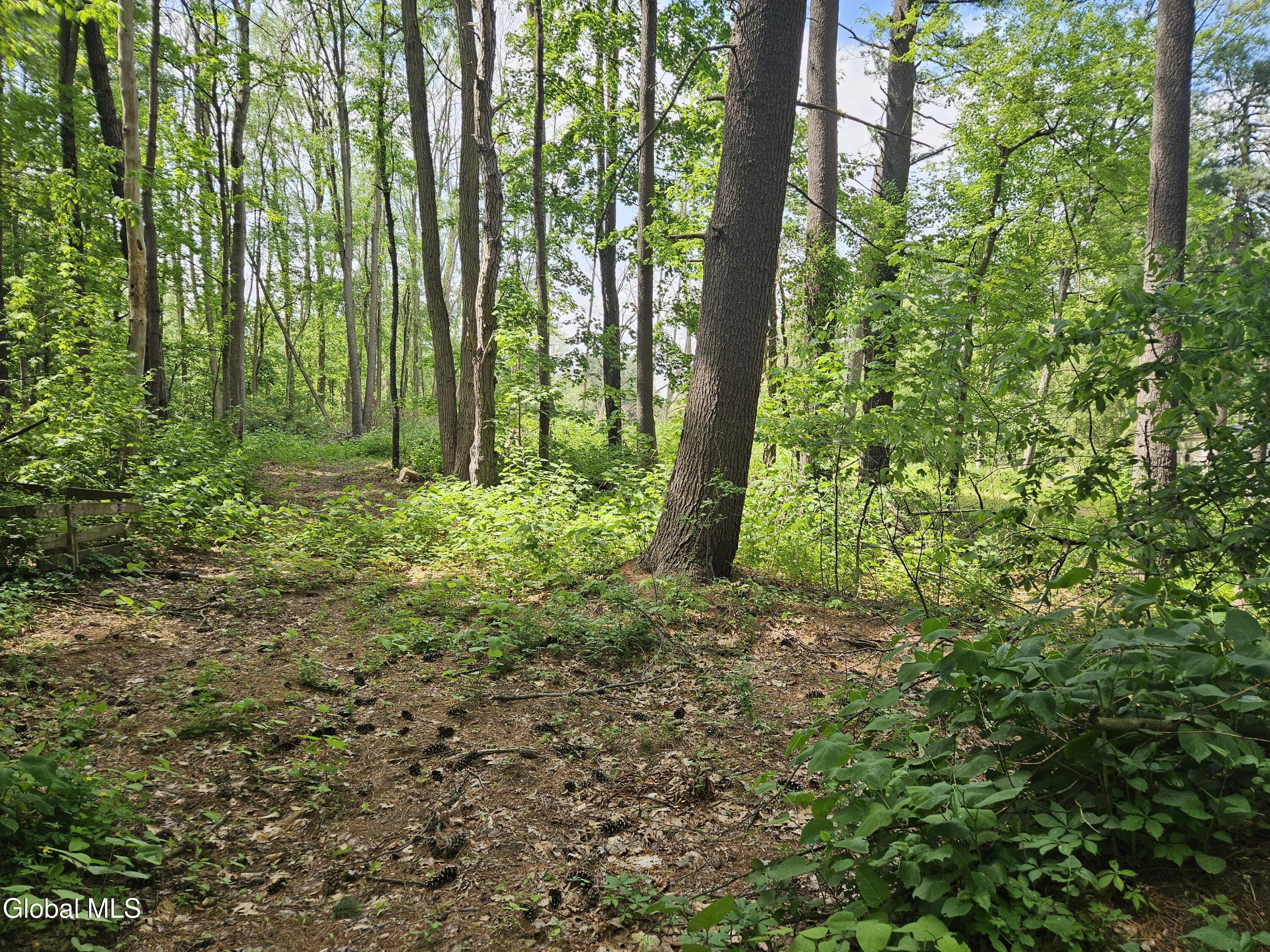 85 Willow Street Guilderland NY 12084