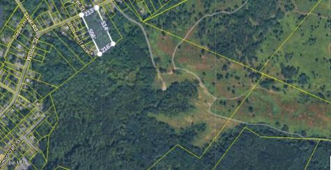 85 Willow Street Guilderland NY 12084
