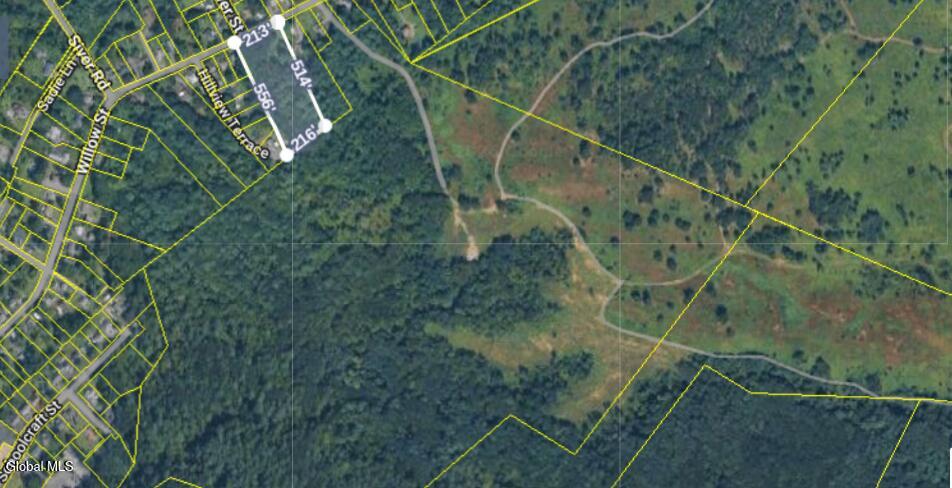 85 Willow Street Guilderland NY 12084