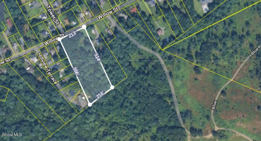 85 Willow Street Guilderland NY 12084