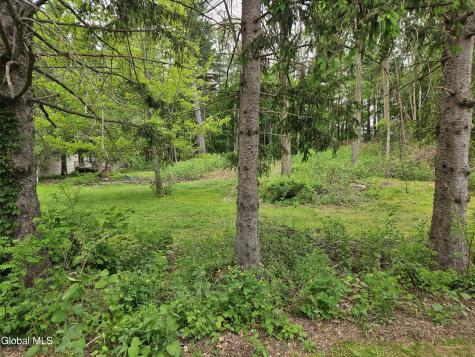 85 Willow Street Guilderland NY 12084