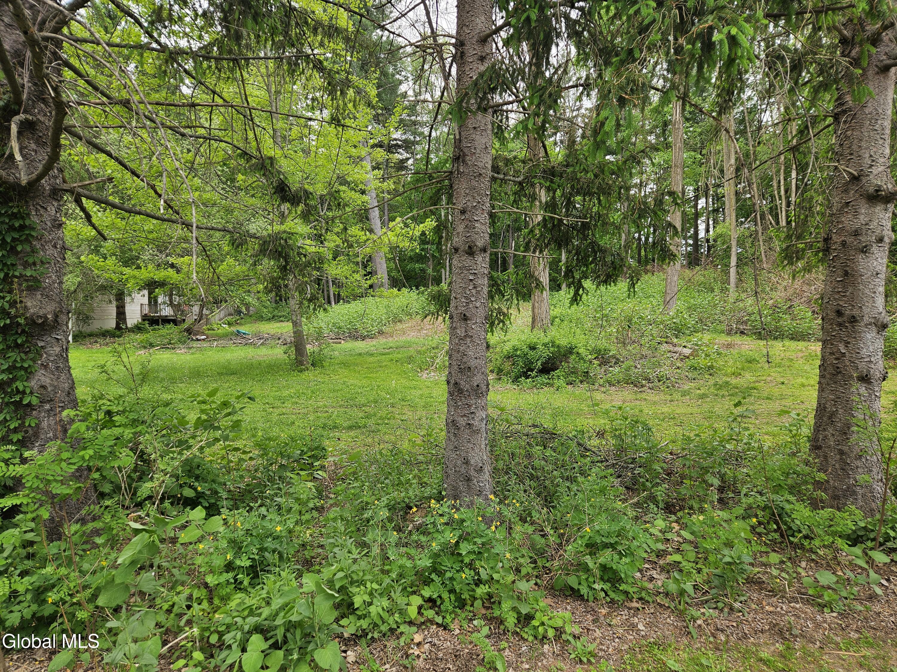 85 Willow Street Guilderland NY 12084