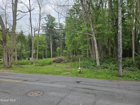 85 Willow Street Guilderland NY 12084