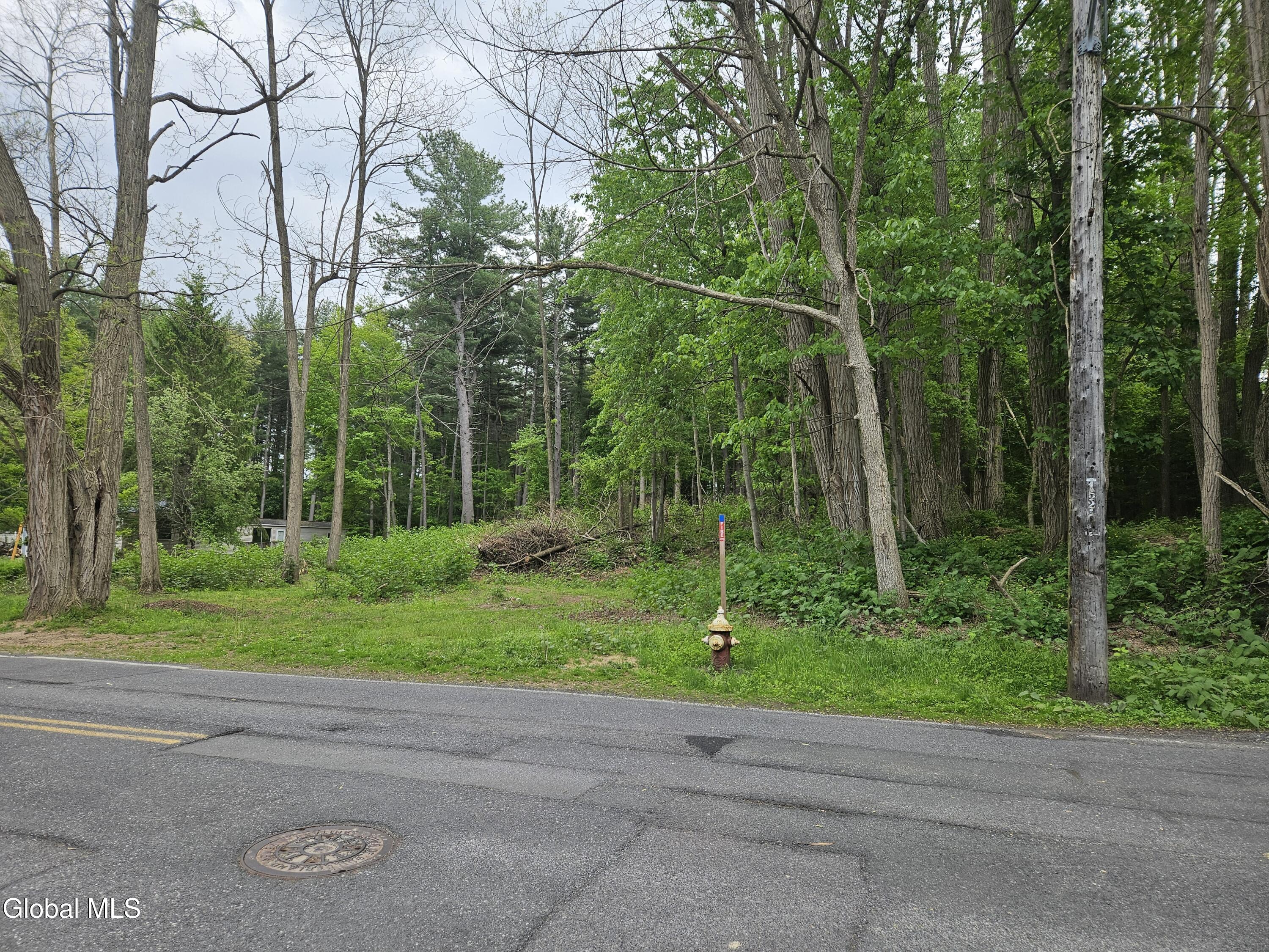 85 Willow Street Guilderland NY 12084