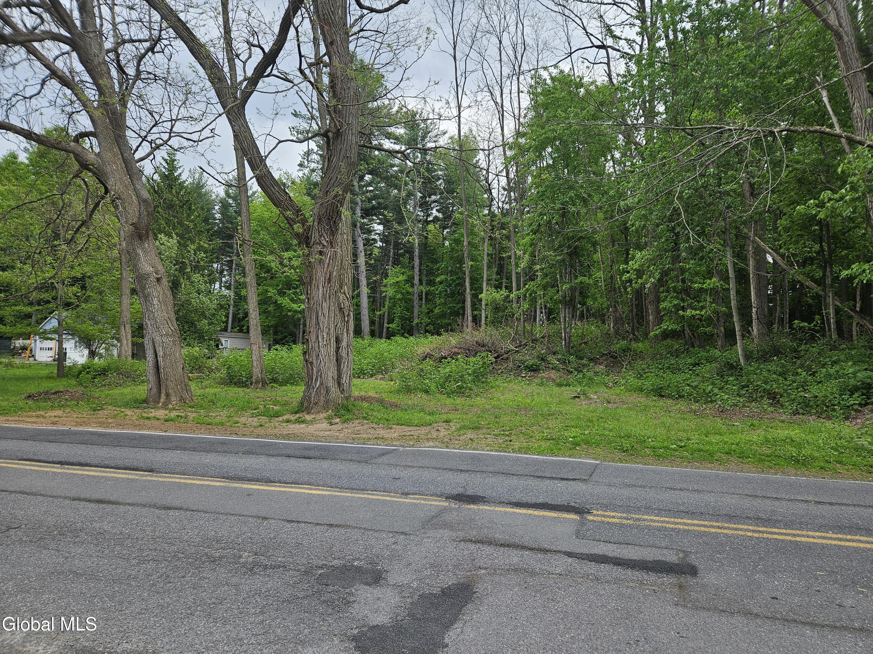 85 Willow Street Guilderland NY 12084
